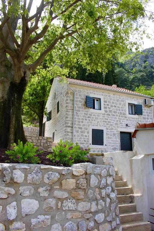 Villa Mima Kotor Eksteriør bilde