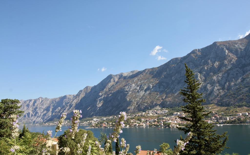 Villa Mima Kotor Eksteriør bilde